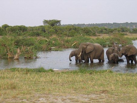 Photo of Best Offbeat destionations in Karnataka 6/9 by Adventure Buddha