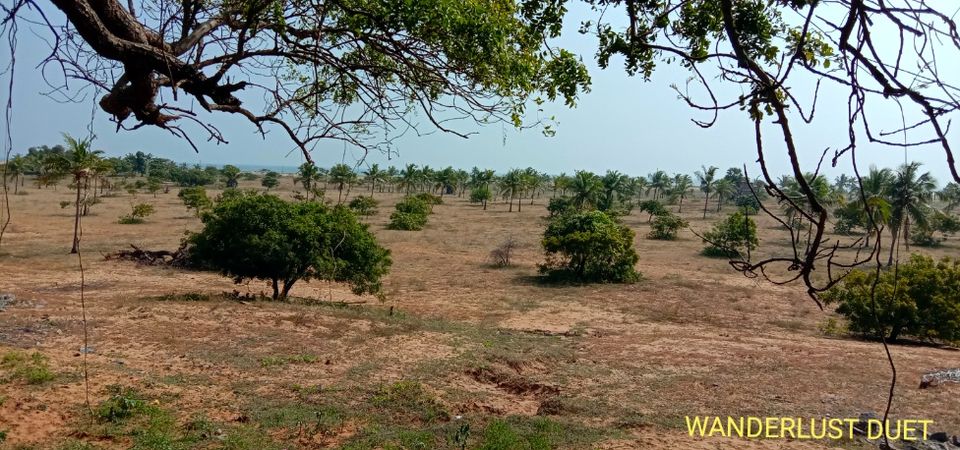 Photo of Road trip to Mahablipuram and Pondicherry ---#WeekendWorthy 15/106 by WANDERLUST DUET