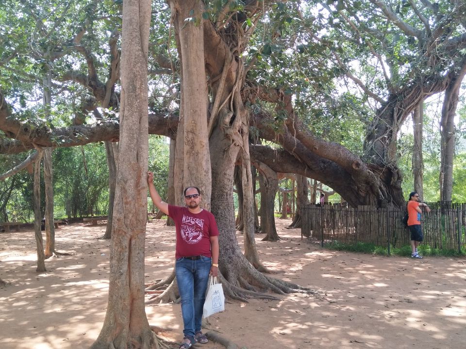 Photo of Road trip to Mahablipuram and Pondicherry ---#WeekendWorthy 83/106 by WANDERLUST DUET