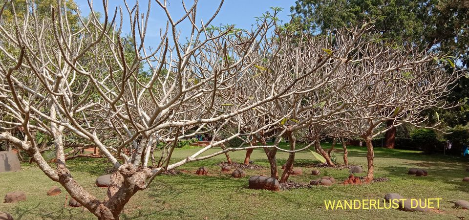 Photo of Road trip to Mahablipuram and Pondicherry ---#WeekendWorthy 79/106 by WANDERLUST DUET