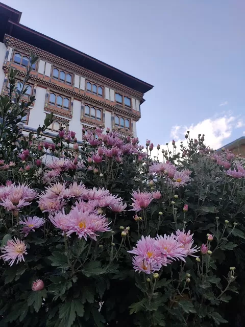 Photo of Thimphu, Bhutan by Hazelgirl