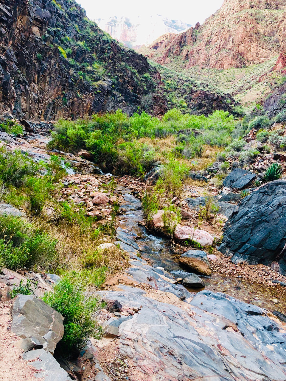 Photo of Bright Angel Trail, Grand Canyon Village, AZ, USA by Sri (Mumiamalright.Com)