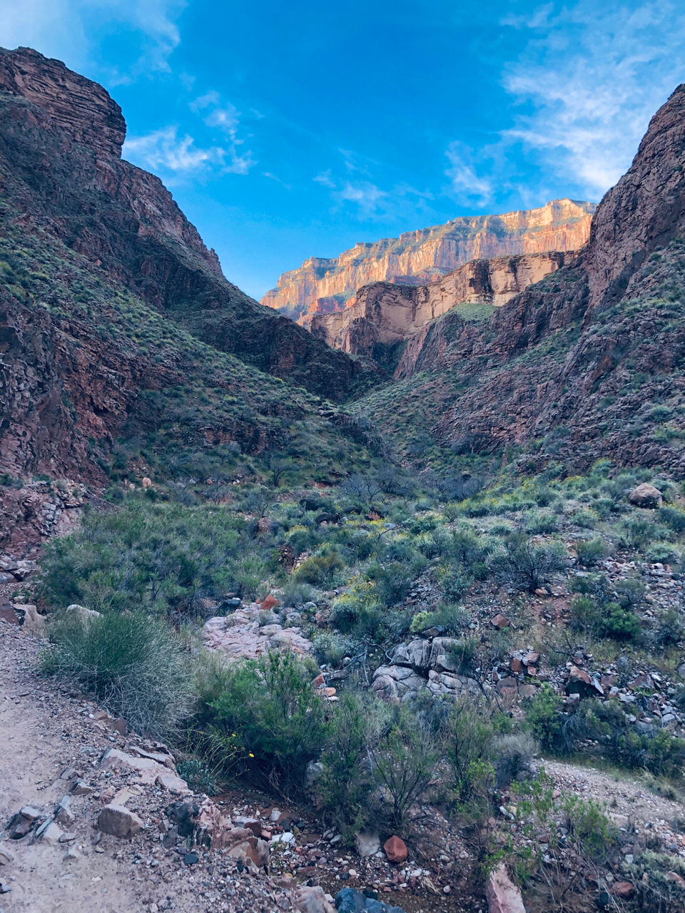 Photo of Bright Angel Trail, Grand Canyon Village, AZ, USA by Sri (Mumiamalright.Com)