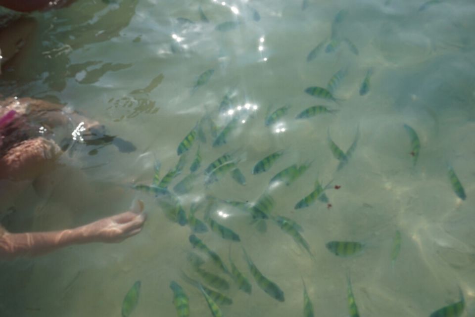 Photo of And we started our life with a breathtaking journey:: Thailand 11/21 by mayur saikia