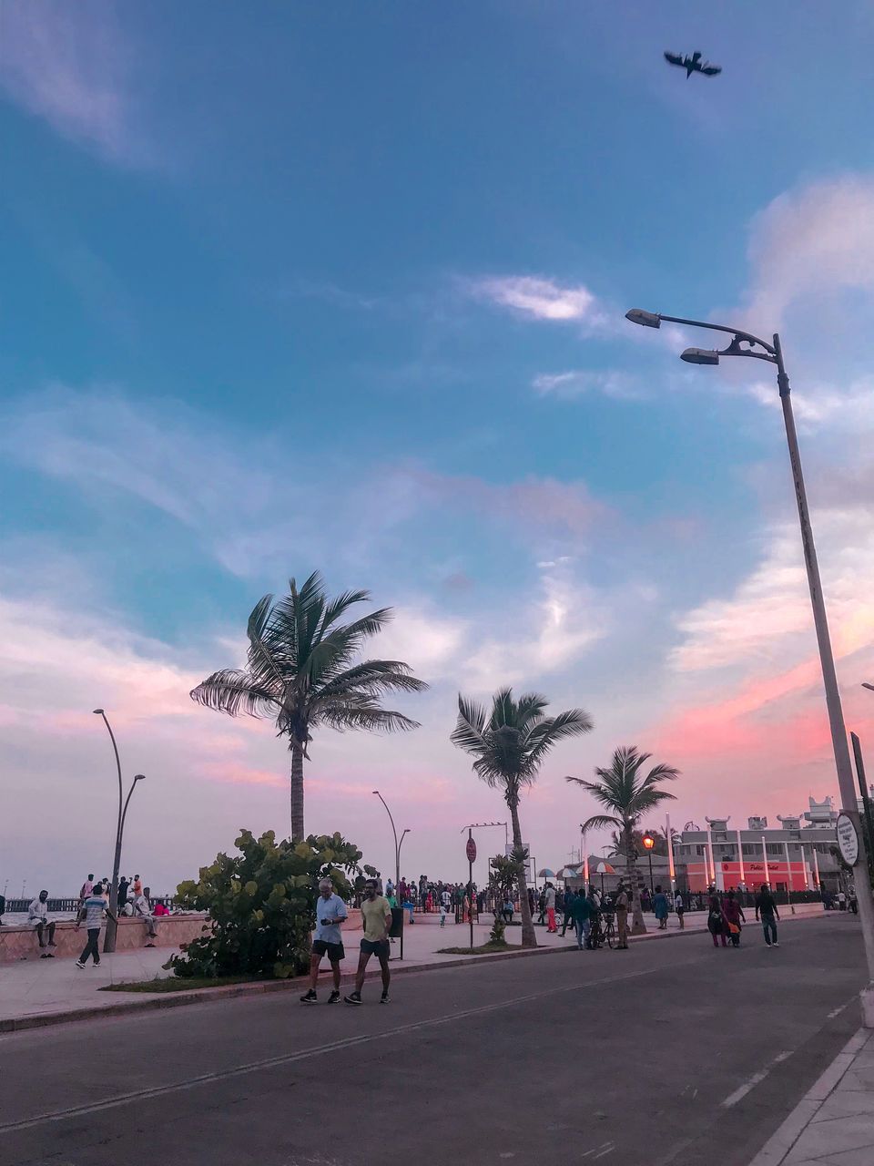 Photo of Explore the best of Pondicherry in 2 days! 8/16 by Jigyasaa Malhotra (@Thebohospiration)