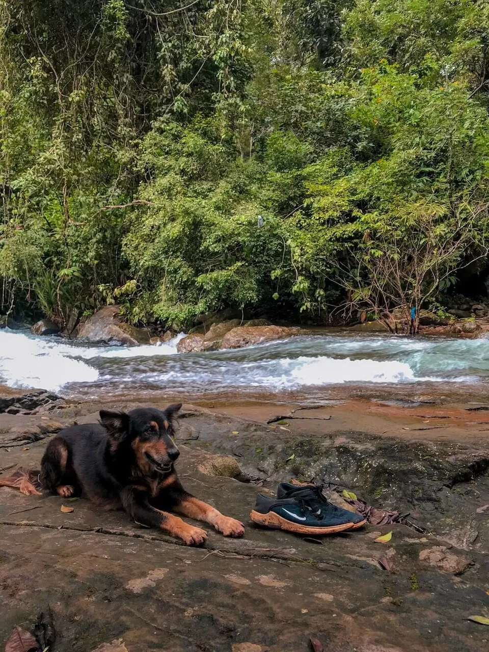Photo of Elimbileri Estate, Kottappadi part, Kerala, India by Jigyasaa Malhotra (@Thebohospiration)