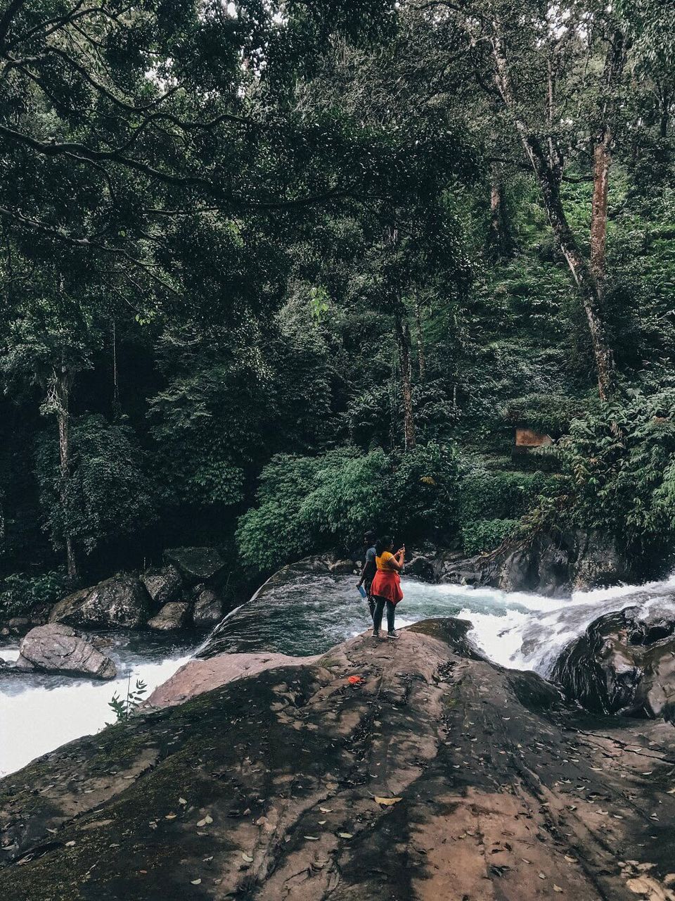 Photo of Elimbileri Estate, Kottappadi part, Kerala, India by Jigyasaa Malhotra (@Thebohospiration)
