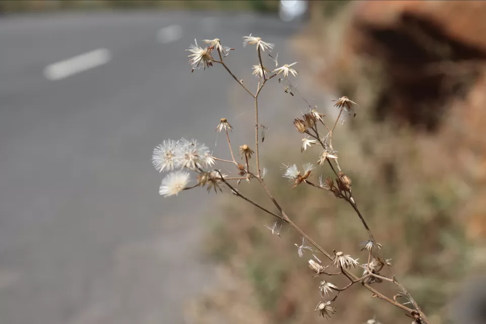 Photo of Madeswaramalai, Karnataka, India by mithunraj sundar