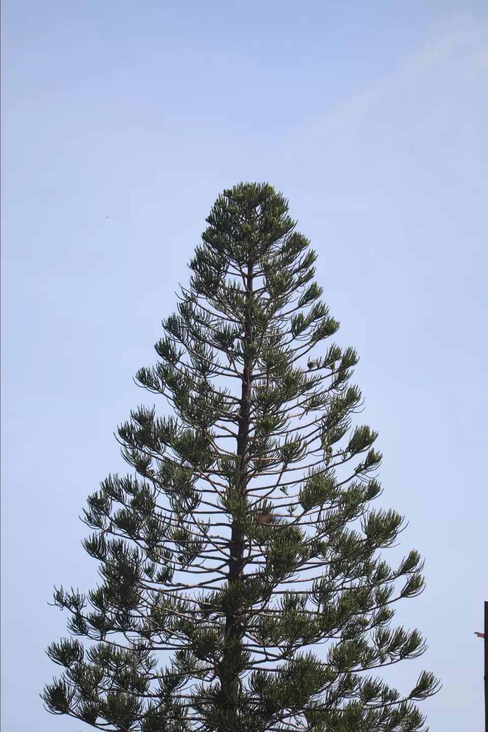 Photo of Madeswaramalai, Karnataka, India by mithunraj sundar