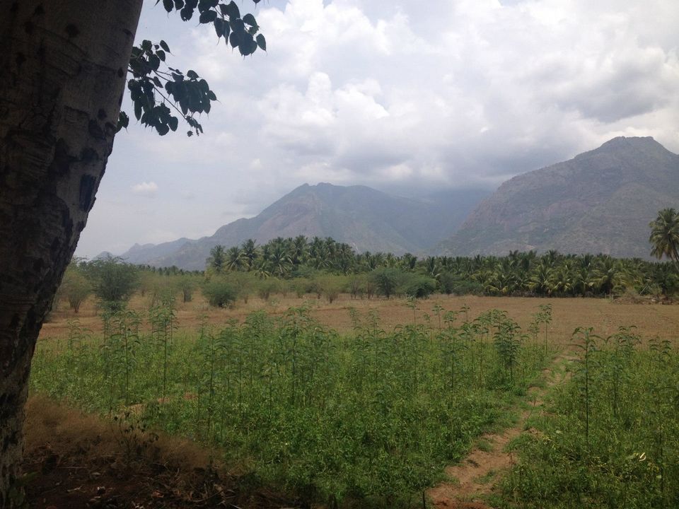 Photo of Swamiyee Sharanam Ayyappa 33/35 by Lakshmisha Sha