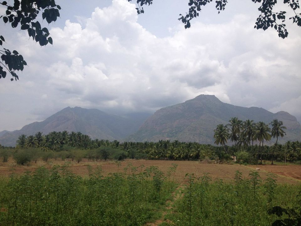 Photo of Swamiyee Sharanam Ayyappa 32/35 by Lakshmisha Sha