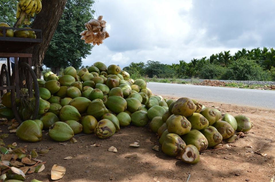 Photo of Go Gokarna Gone 29/40 by Lakshmisha Sha