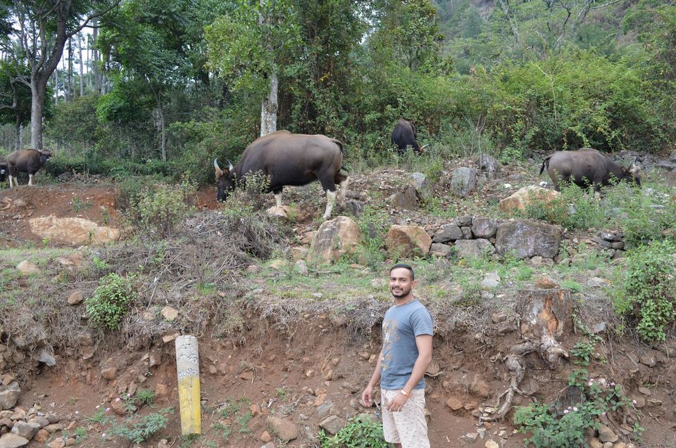 Photo of Kottagiri (A Simple Hil station with less hype) 3/33 by Lakshmisha Sha