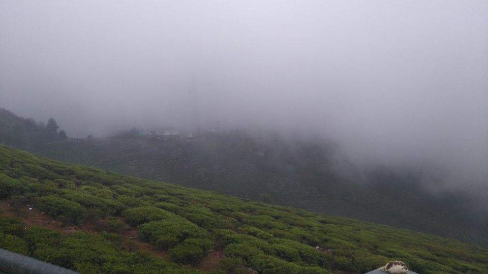 Photo of Kottagiri (A Simple Hil station with less hype) 16/33 by Lakshmisha Sha