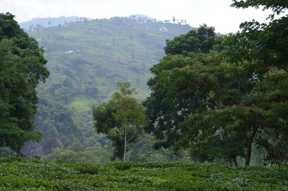 Photo of Kottagiri (A Simple Hil station with less hype) 8/33 by Lakshmisha Sha