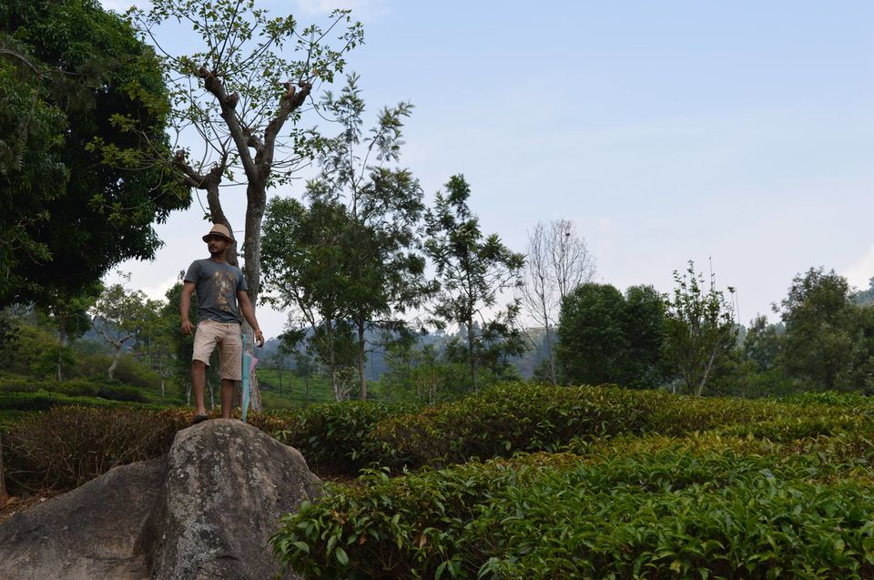 Photo of Kottagiri (A Simple Hil station with less hype) 11/33 by Lakshmisha Sha