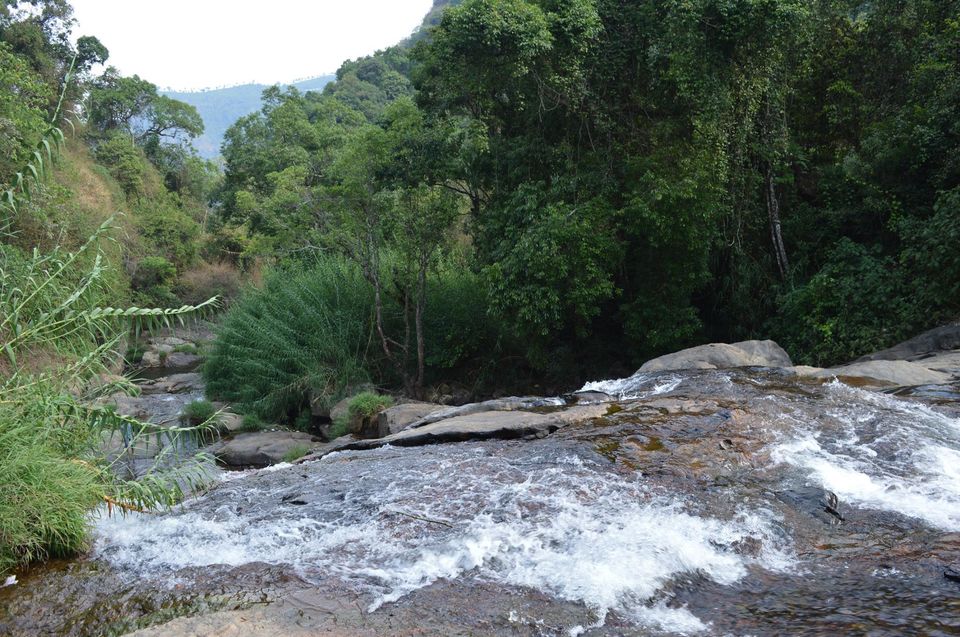 Photo of Kottagiri (A Simple Hil station with less hype) 20/33 by Lakshmisha Sha