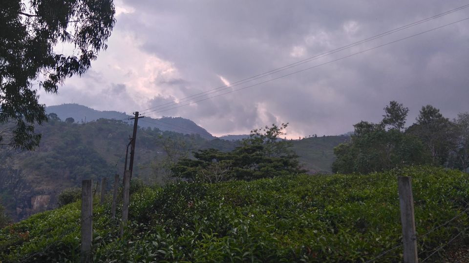 Photo of Kottagiri (A Simple Hil station with less hype) 14/33 by Lakshmisha Sha