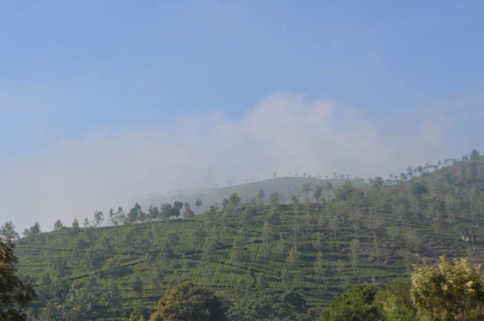 Photo of Kottagiri (A Simple Hil station with less hype) 31/33 by Lakshmisha Sha