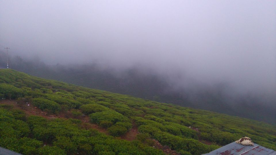 Photo of Kottagiri (A Simple Hil station with less hype) 18/33 by Lakshmisha Sha
