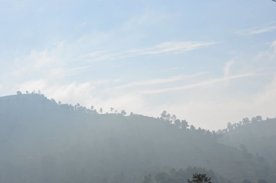 Photo of Kottagiri (A Simple Hil station with less hype) 28/33 by Lakshmisha Sha