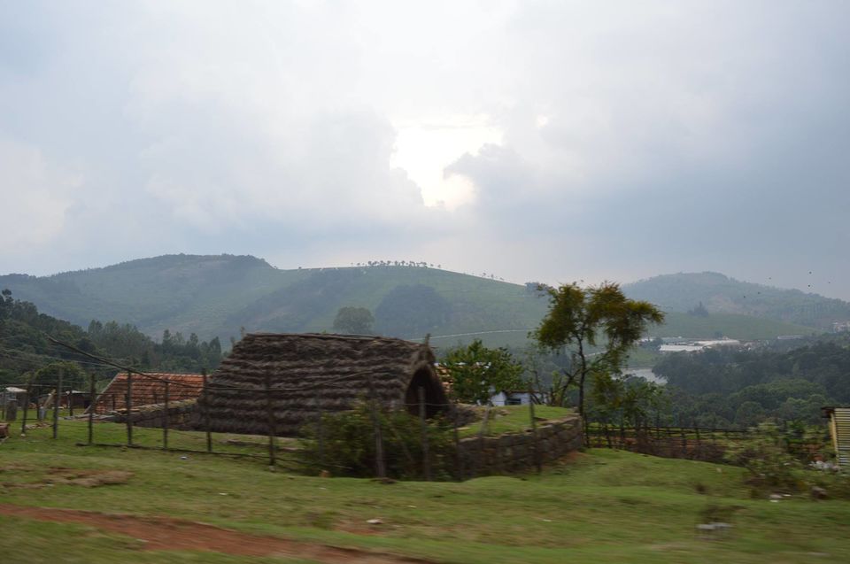 Photo of Kottagiri (A Simple Hil station with less hype) 30/33 by Lakshmisha Sha