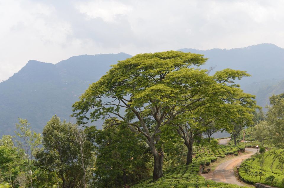 Photo of Kottagiri (A Simple Hil station with less hype) 7/33 by Lakshmisha Sha