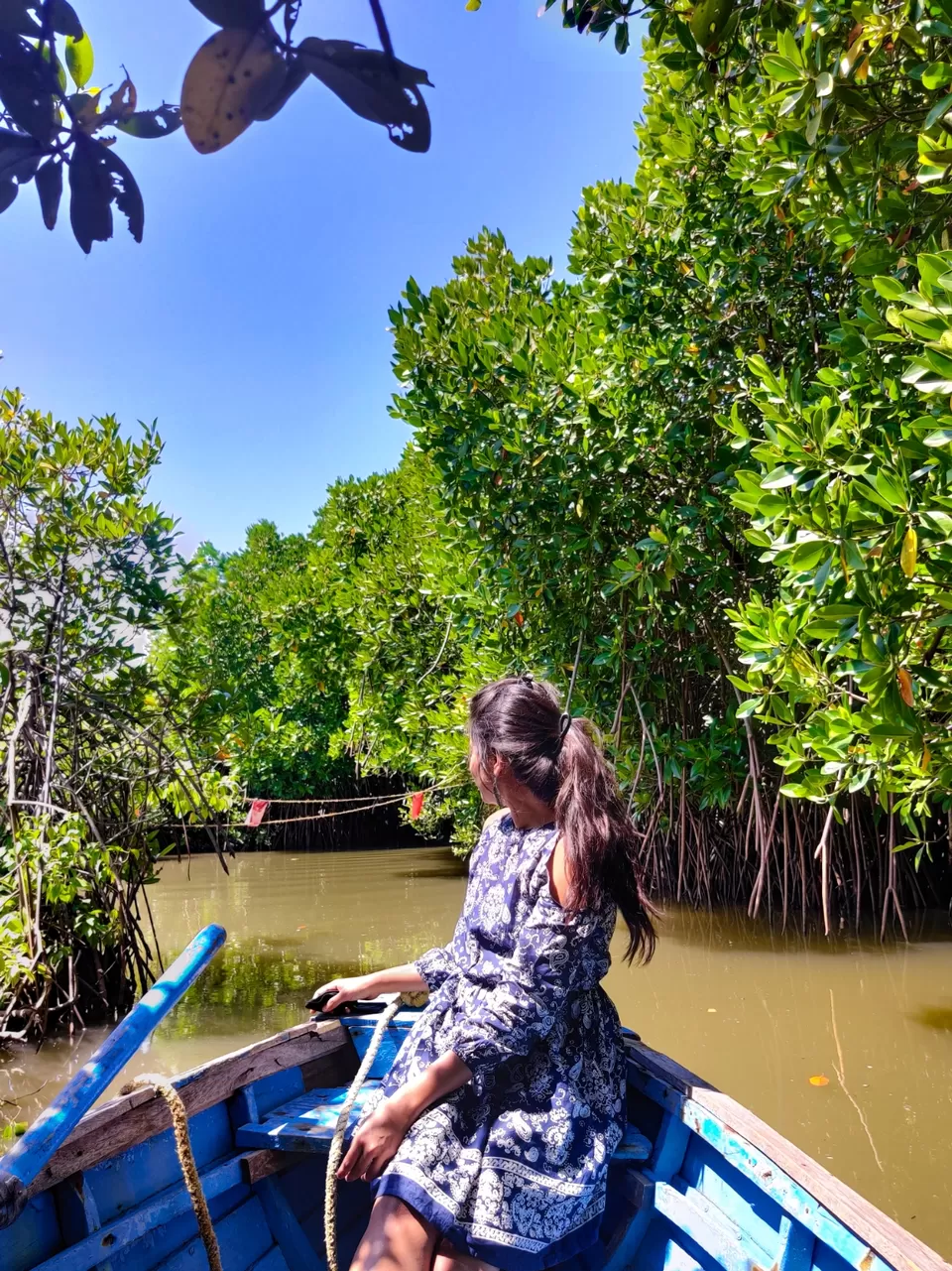 Photo of Mangrove Forest by Sayali bhalerao