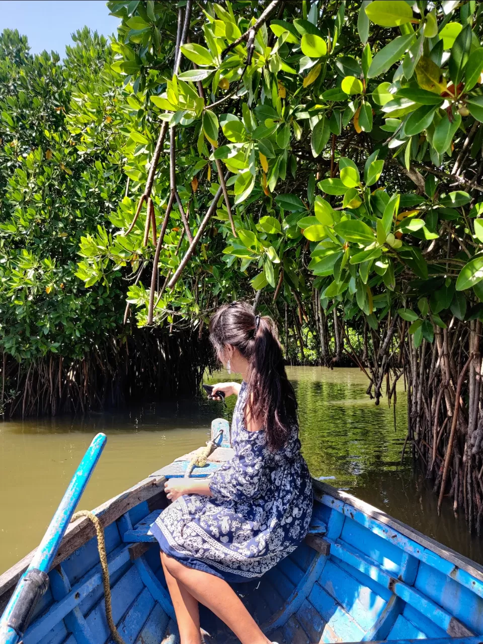 Photo of Mangrove Forest by Sayali bhalerao