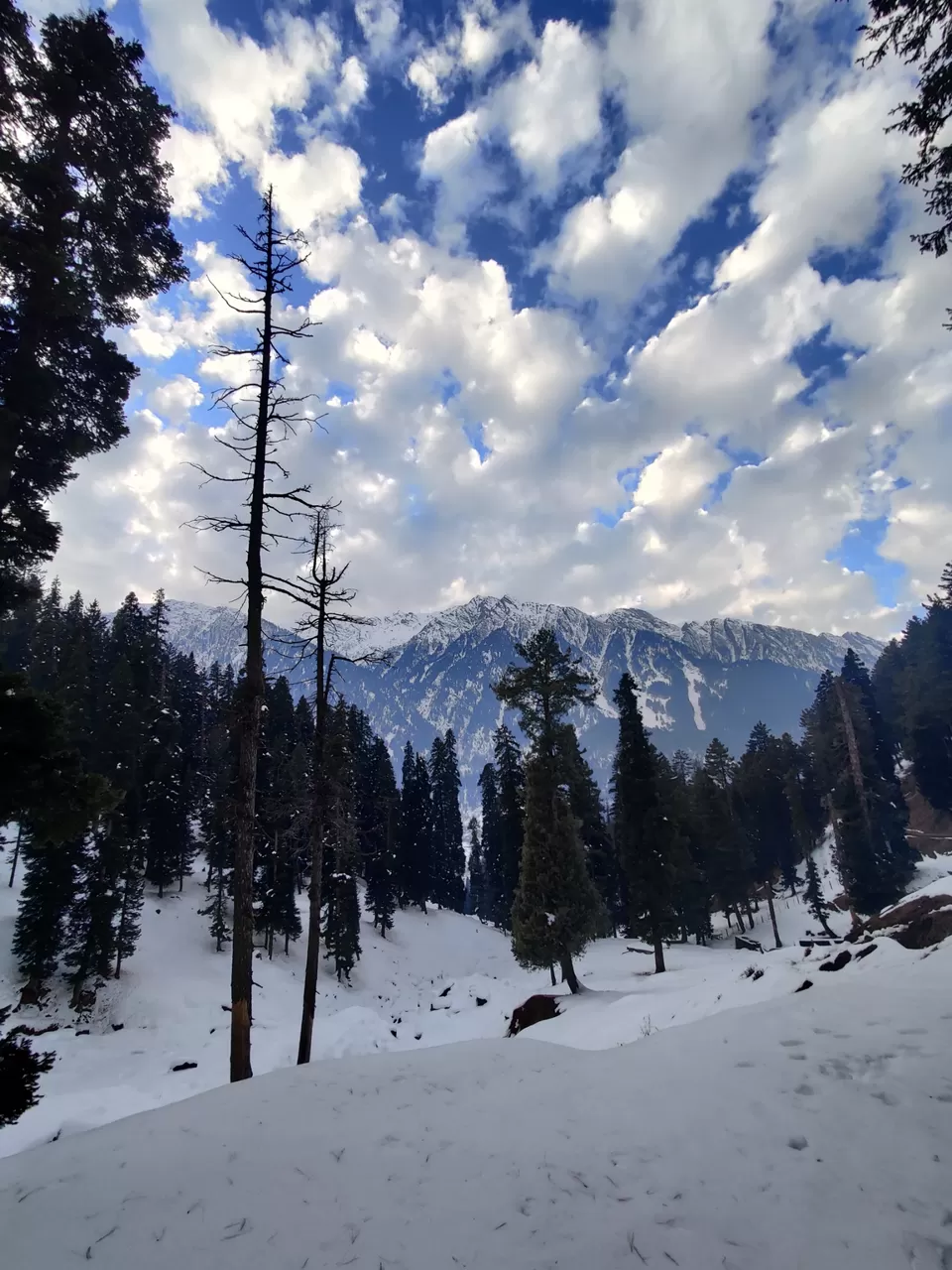Photo of Pahalgam by Shrishti Srivastava