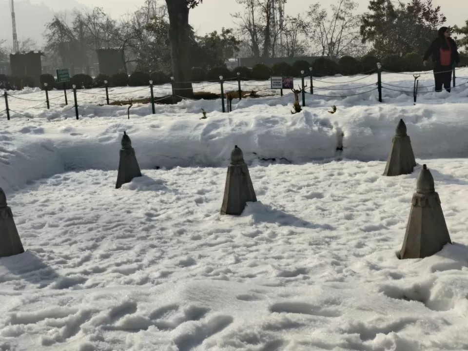 Photo of Chashma Shahi Garden by Shrishti Srivastava