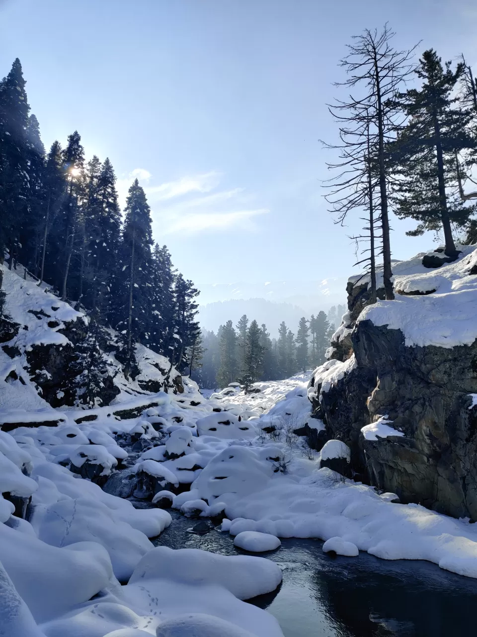 Photo of Drang by Shrishti Srivastava