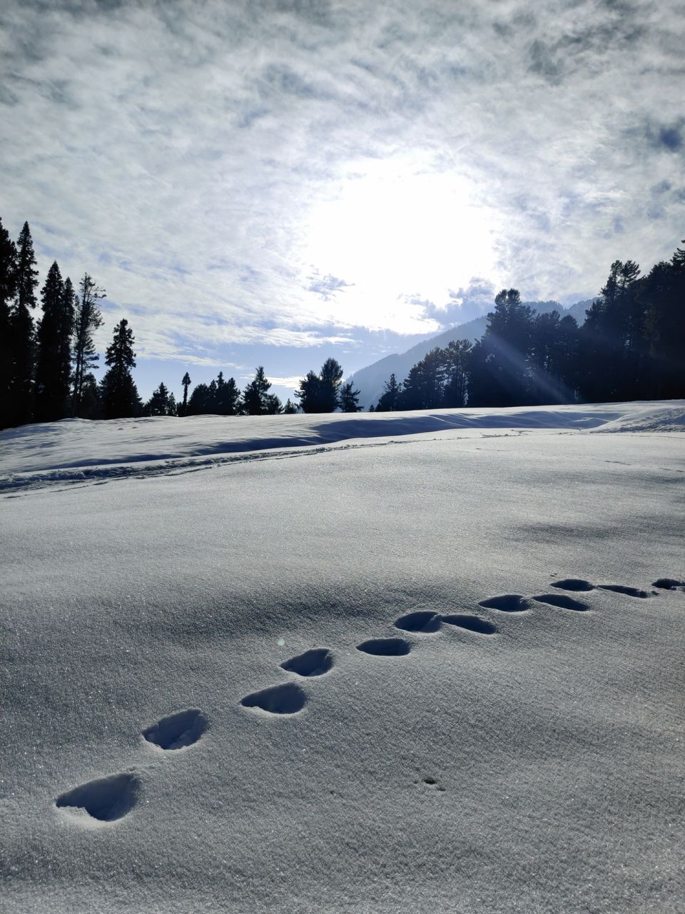 Photo of Unforgettable trip to Kashmir in January. by Shrishti Srivastava