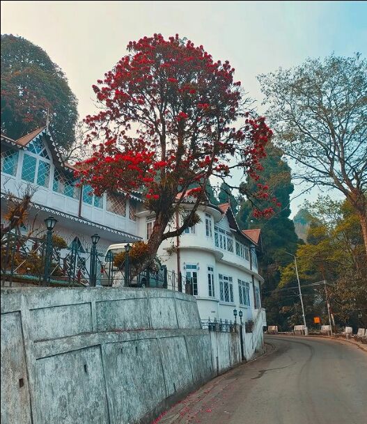 Photo of Dali Monastery by soumya singh