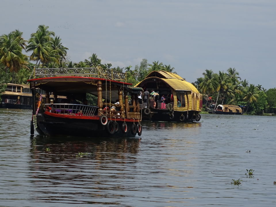 Photo of Kerala, India by Debadrita Jana