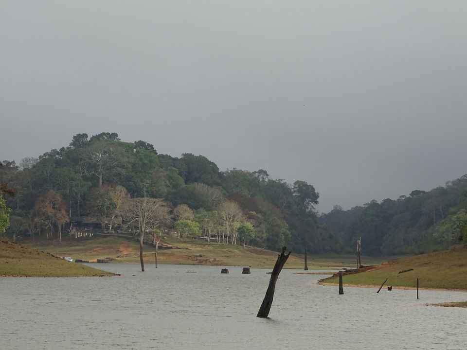 Photo of Kerala, India by Debadrita Jana