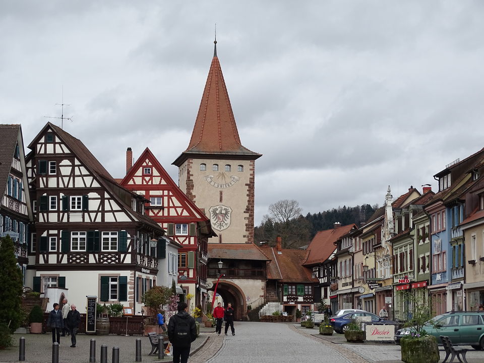 Photo of Black Forest, Germany by Debadrita Jana