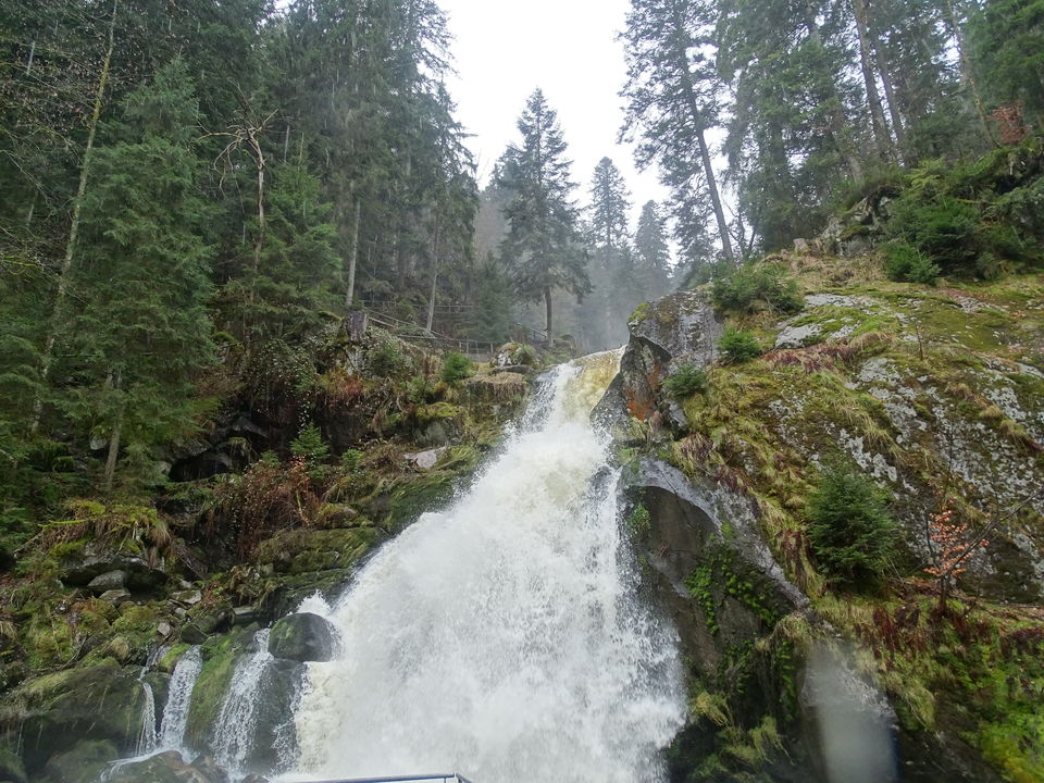 Photo of Black Forest, Germany by Debadrita Jana