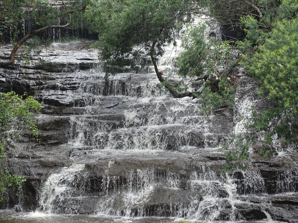 Photo of Kodaikanal, Tamil Nadu, India by Debadrita Jana