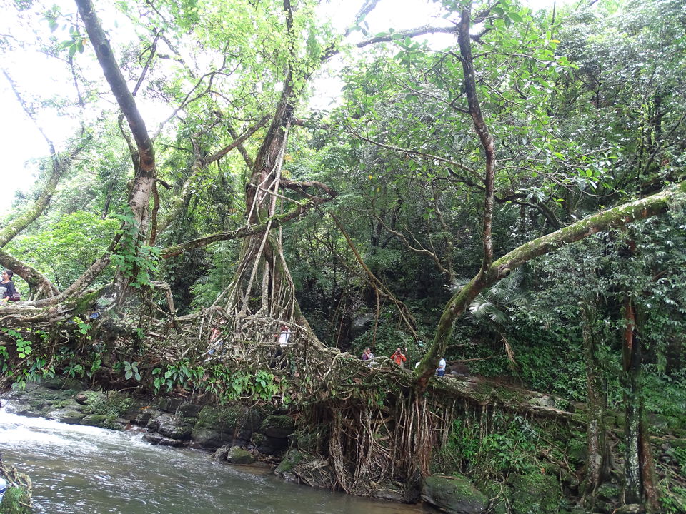 Photo of Meghalaya, India by Debadrita Jana