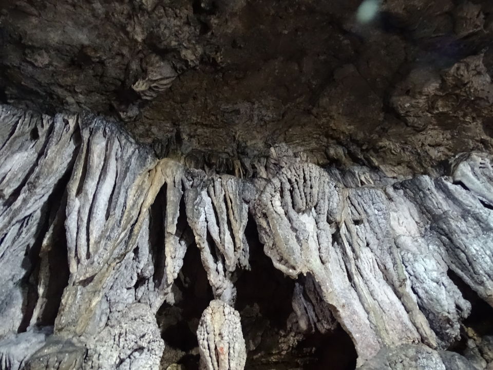 Photo of Meghalaya, India by Debadrita Jana