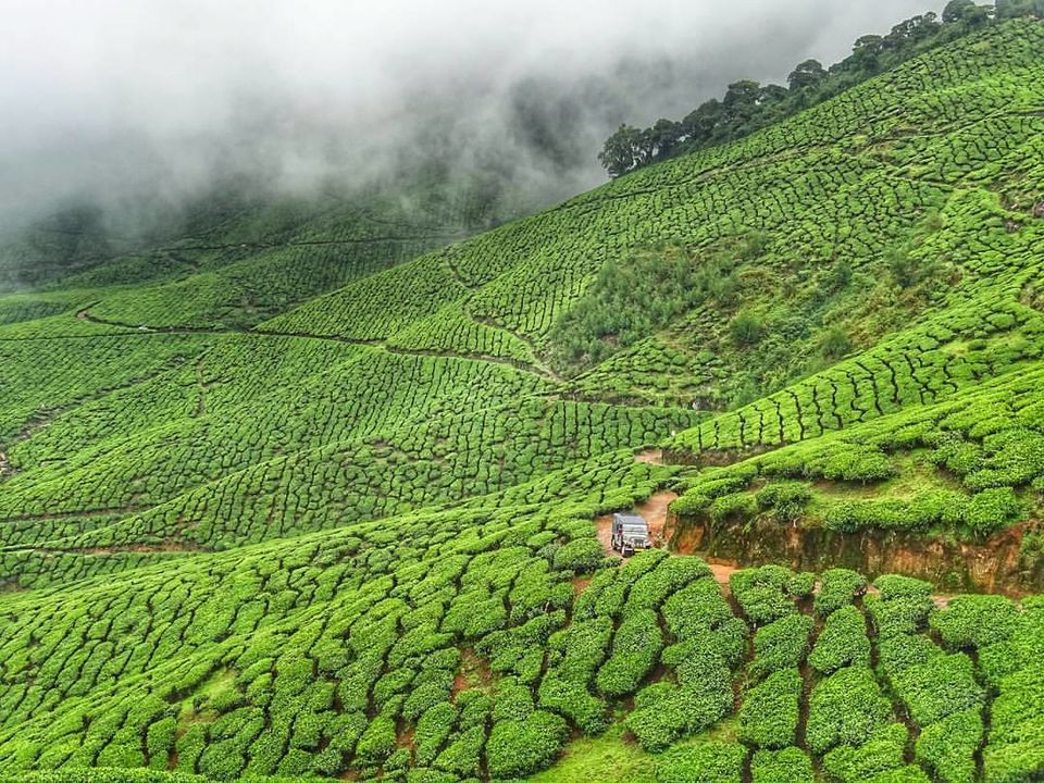 Photo of Munnar, Kerala, India by Debadrita Jana
