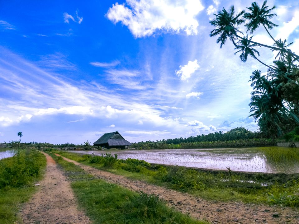 Photo of Villukuri, Tamil Nadu, India by Arun Siddharth