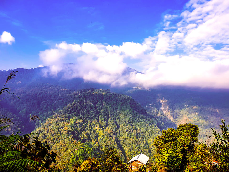 Photo of Kolakham - A non crowded serene Hamlet by Sonali Majumder