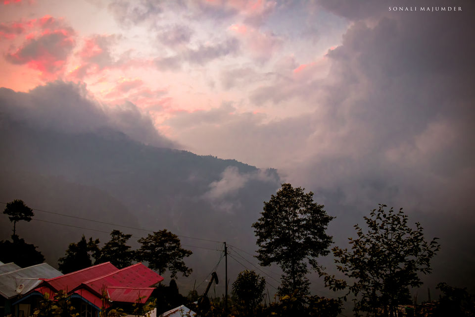 Photo of Kolakham - A non crowded serene Hamlet by Sonali Majumder