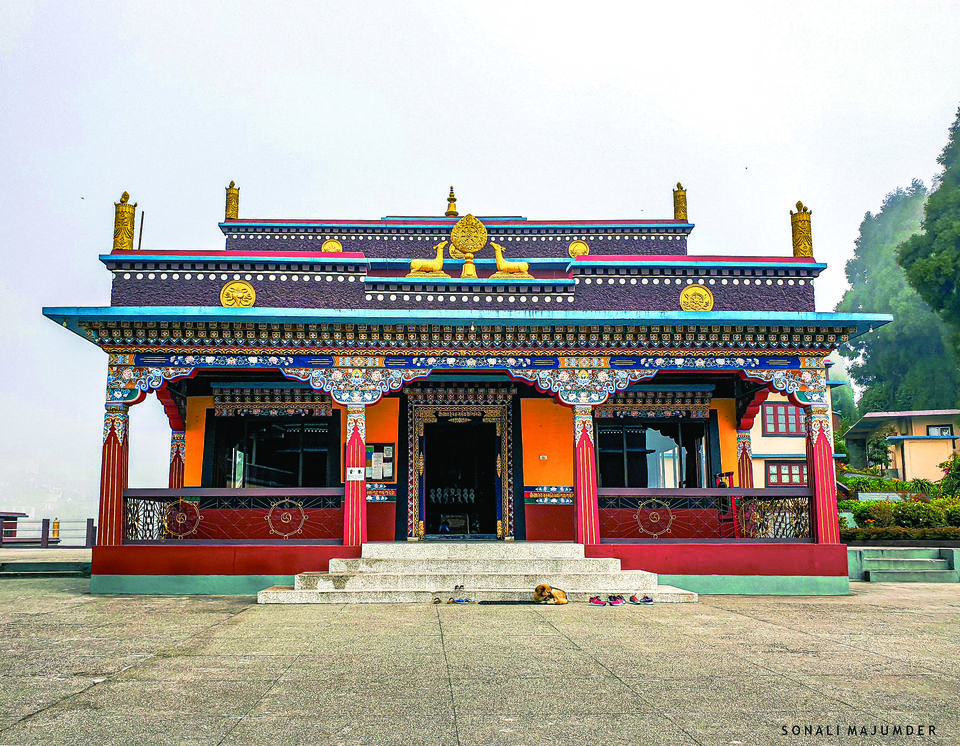 Photo of Kolakham - A non crowded serene Hamlet by Sonali Majumder