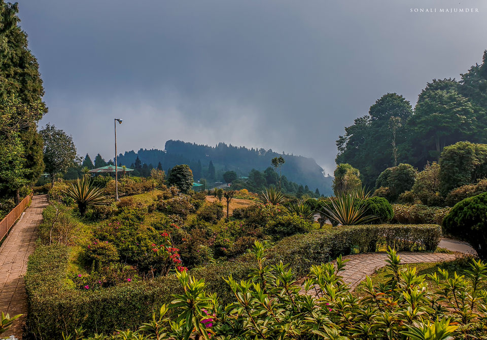Photo of Kolakham - A non crowded serene Hamlet by Sonali Majumder