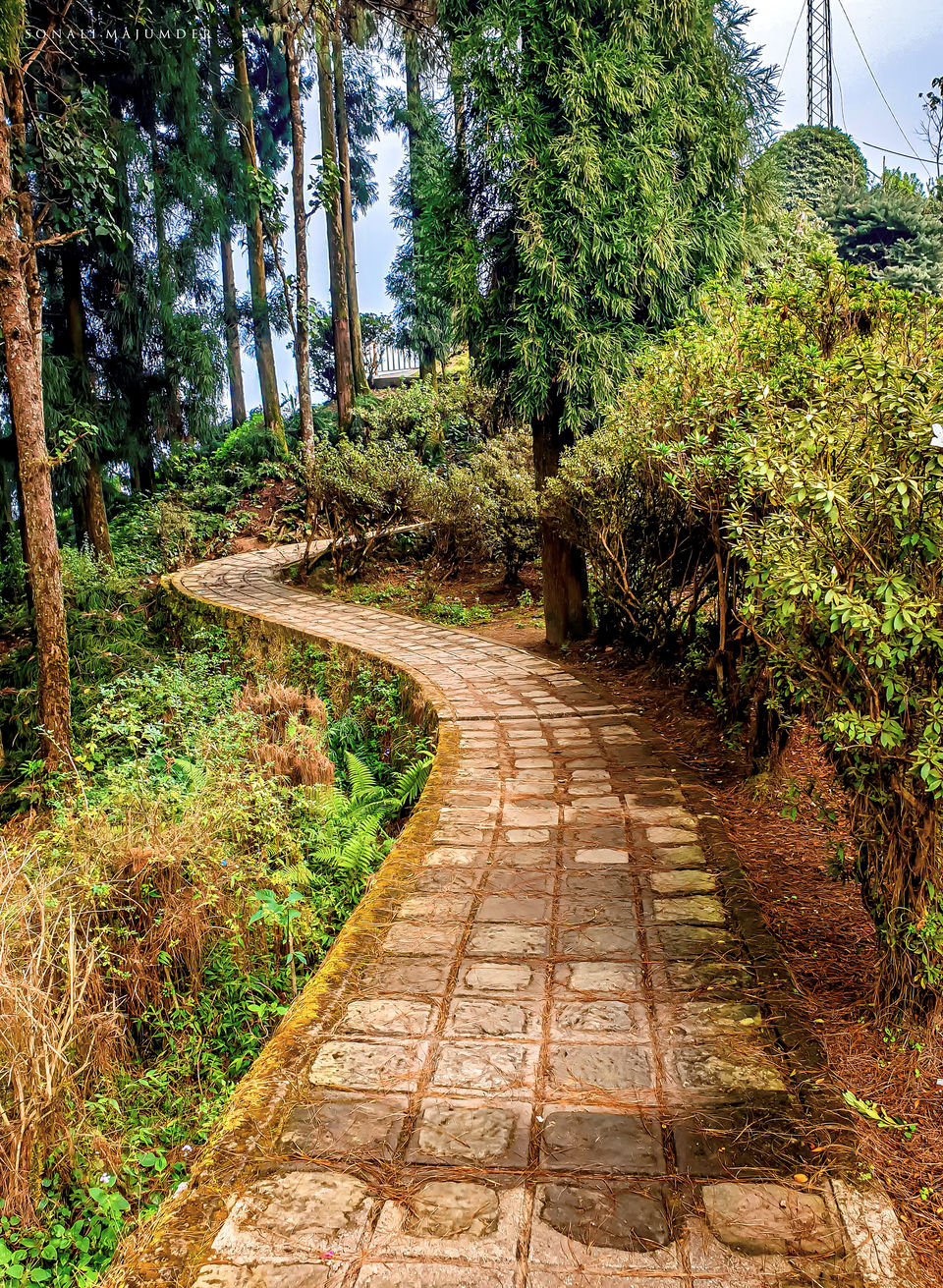 Photo of Kolakham - A non crowded serene Hamlet by Sonali Majumder