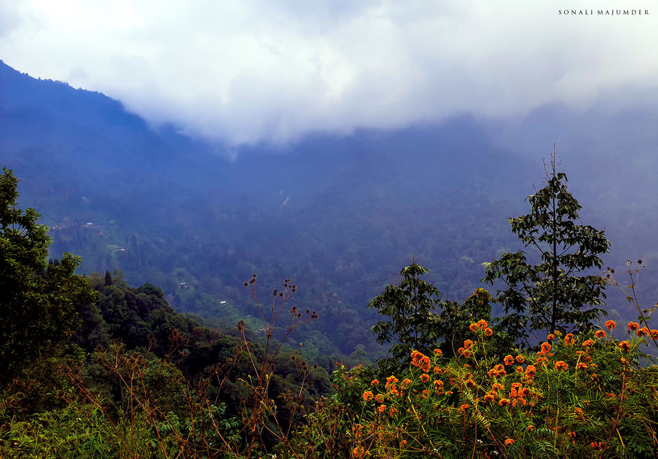 Photo of Kolakham - A non crowded serene Hamlet by Sonali Majumder