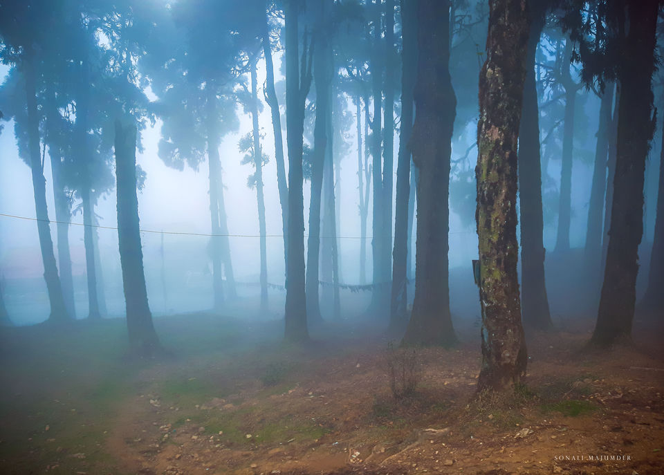 Photo of Lepchajagat- where nature meets your soul #Lockdown by Sonali Majumder